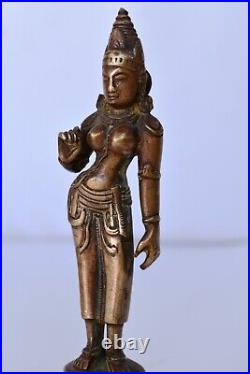 Antique Bronze Sculpture Indian Deity Goddess Parvati Statue Tamilnadu South F