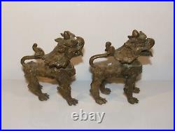 Antique pair napalese chinese brass bronze dogs of foo fu oriental dragon figure