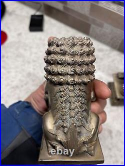 Chinese Bronze Brass Guardian Foo Fu Dog Phylactery Door Lion Pair Statue 6.5